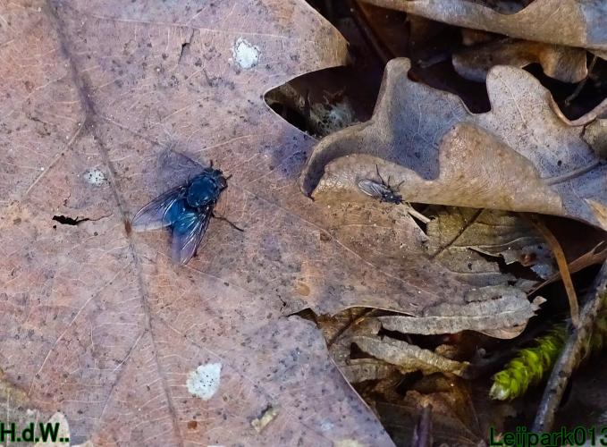 Leijpark013 14 &amp; 15 &amp; 16 &amp; 17 maart 2023 