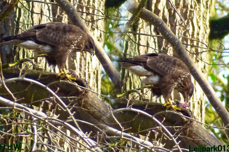 Leijpark013 14 &amp; 15 &amp; 16 &amp; 17 maart 2023 