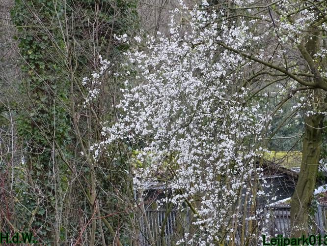 Leijpark013 14 &amp; 15 &amp; 16 &amp; 17 maart 2023 