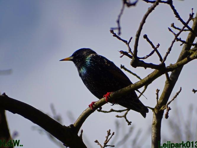 Leijpark013 14 &amp; 15 &amp; 16 &amp; 17 maart 2023 