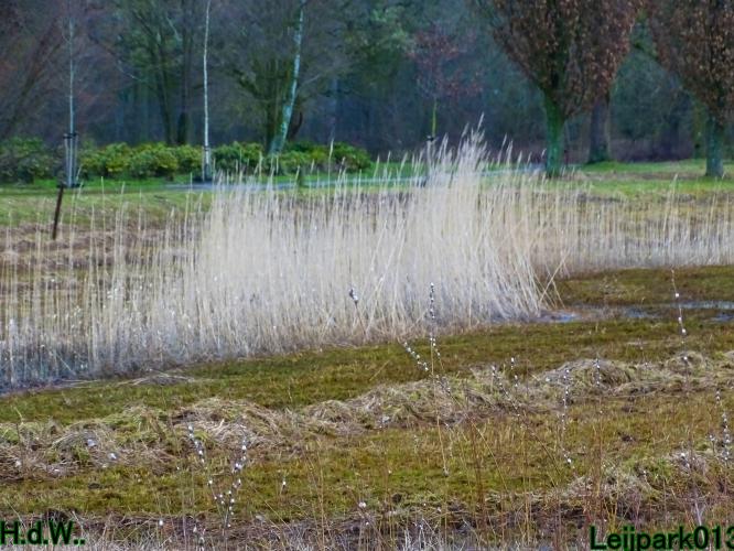 Leijpark013 14 &amp; 15 &amp; 16 &amp; 17 maart 2023 