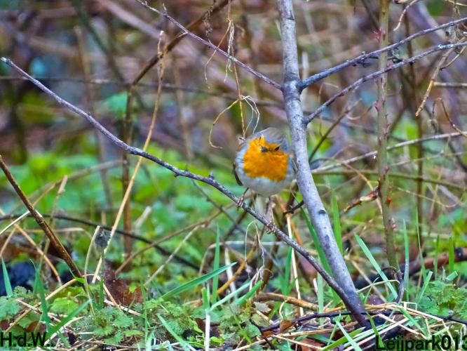 Leijpark013 14 &amp; 15 &amp; 16 &amp; 17 maart 2023 