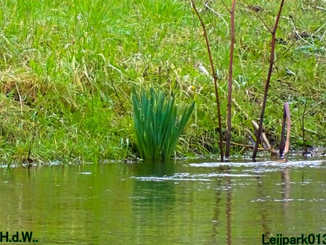 Leijpark013 14 &amp; 15 &amp; 16 &amp; 17 maart 2023 