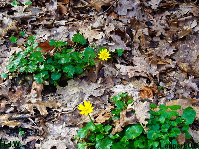 Leijpark013 14 &amp; 15 &amp; 16 &amp; 17 maart 2023 