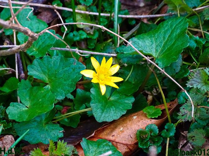 Leijpark013 14 &amp; 15 &amp; 16 &amp; 17 maart 2023 