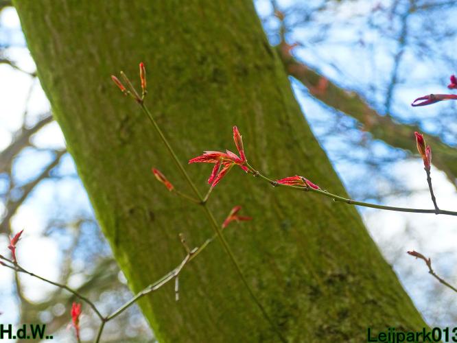 Leijpark013 14 &amp; 15 &amp; 16 &amp; 17 maart 2023 