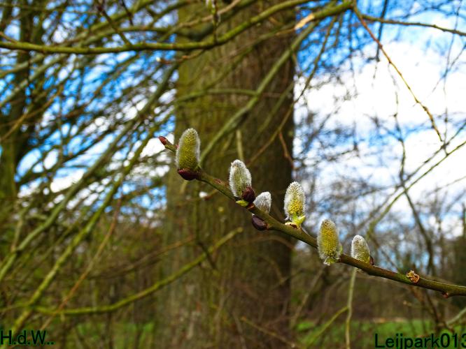 Leijpark013 14 &amp; 15 &amp; 16 &amp; 17 maart 2023 