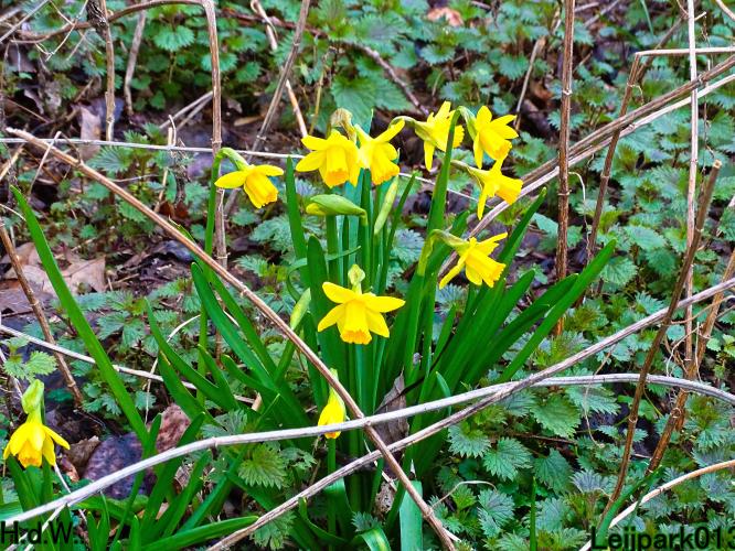 Leijpark013 14 &amp; 15 &amp; 16 &amp; 17 maart 2023 