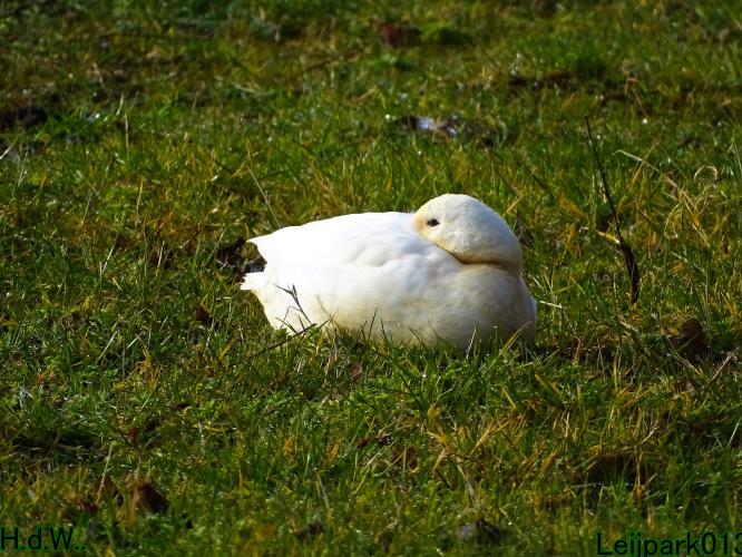 Leijpark013 14 &amp; 15 &amp; 16 &amp; 17 maart 2023 