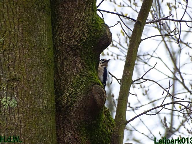 Leijpark013 14 &amp; 15 &amp; 16 &amp; 17 maart 2023 