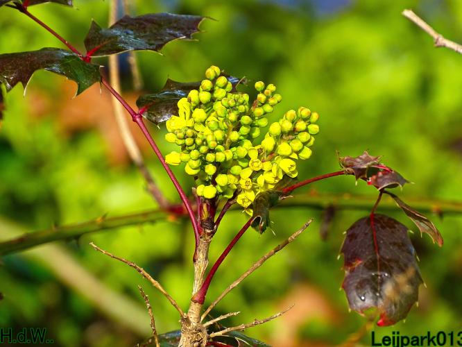 Leijpark013 14 &amp; 15 &amp; 16 &amp; 17 maart 2023 