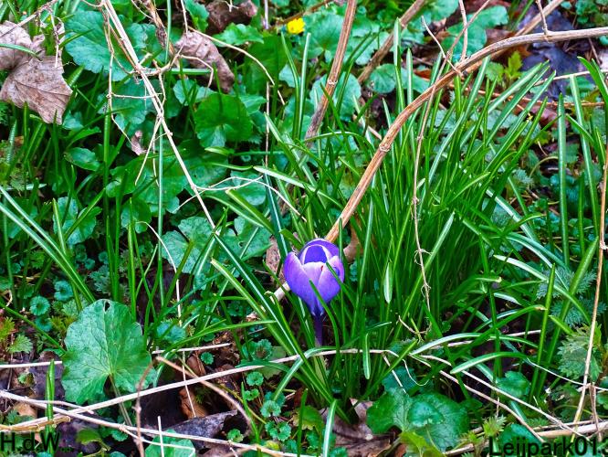 Leijpark013 14 &amp; 15 &amp; 16 &amp; 17 maart 2023 