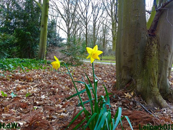 Leijpark013 14 &amp; 15 &amp; 16 &amp; 17 maart 2023 