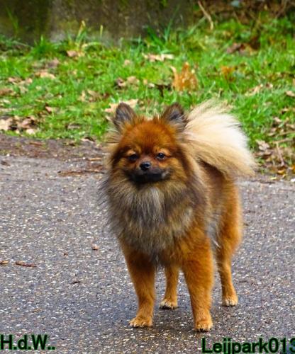 Leijpark013 Beestenboel  22 maart 2023 