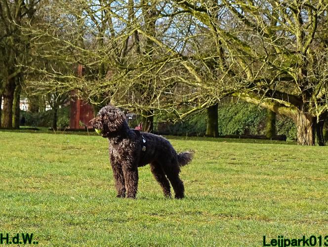 Leijpark013 Beestenboel  22 maart 2023 
