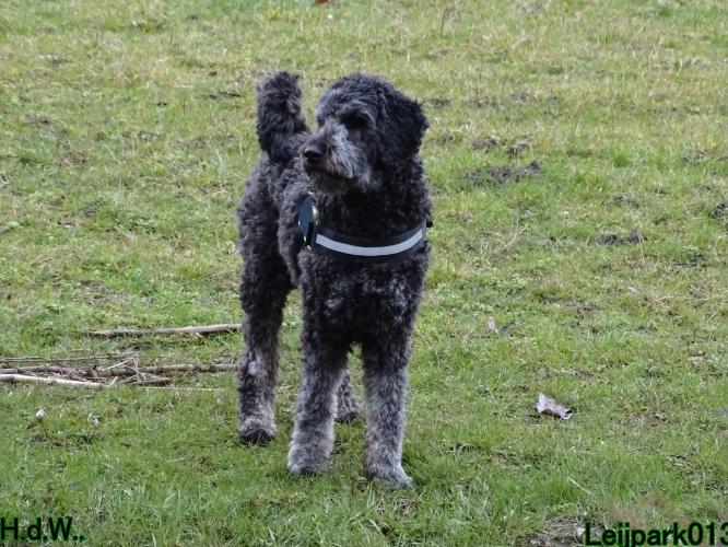 Leijpark013 Beestenboel  22 maart 2023 