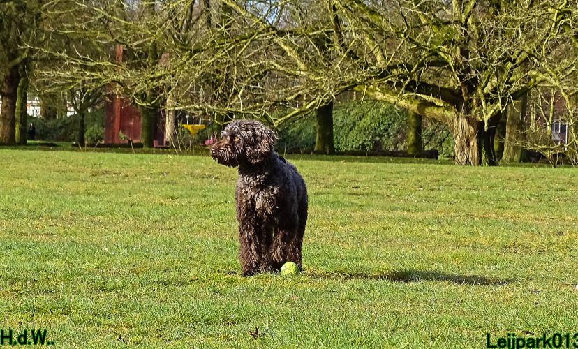 Leijpark013 Beestenboel  22 maart 2023 