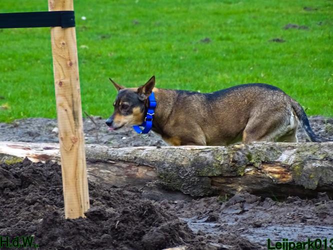 Leijpark013 Beestenboel  22 maart 2023 