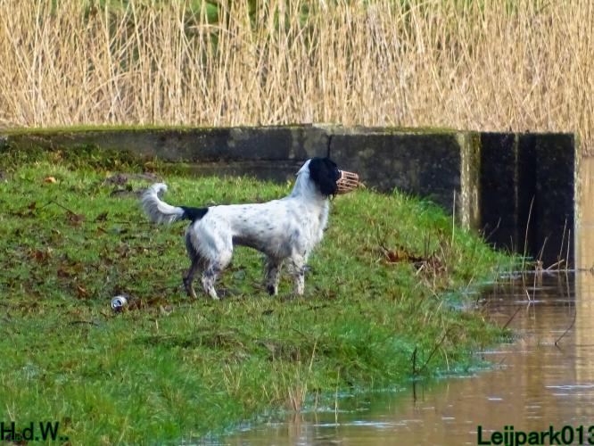 Leijpark013 Beestenboel  22 maart 2023 