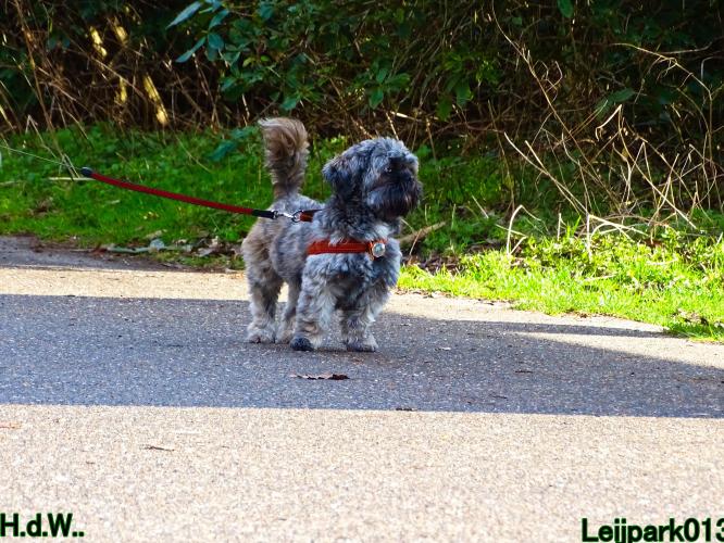Leijpark013 Beestenboel  22 maart 2023 