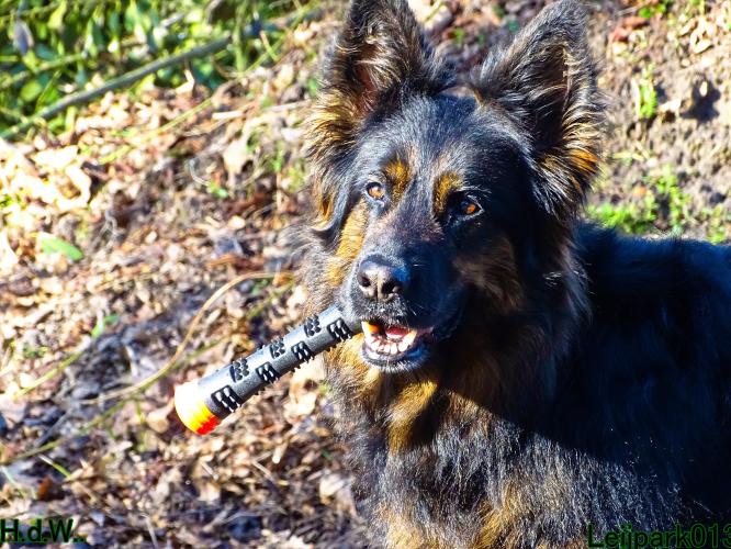 Leijpark013 Beestenboel  22 maart 2023 