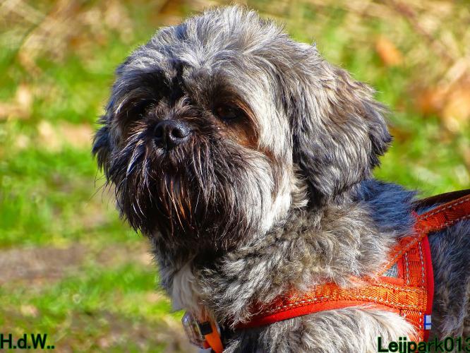 Leijpark013 Beestenboel  22 maart 2023 