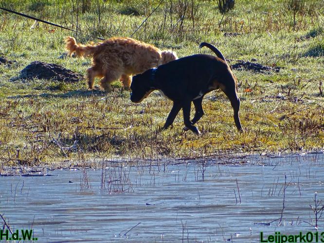 Leijpark013 Beestenboel  22 maart 2023 