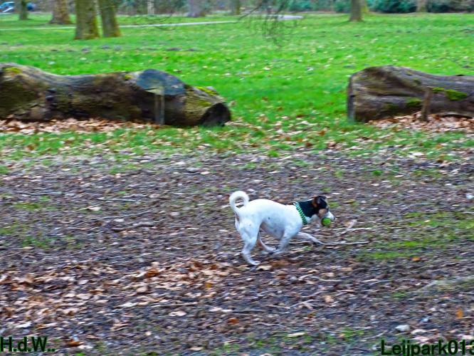 Leijpark013 Beestenboel  22 maart 2023 