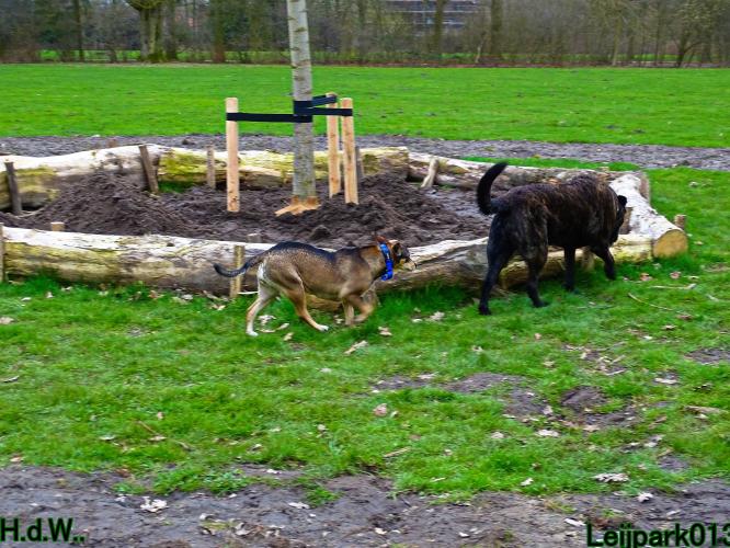 Leijpark013 Beestenboel  22 maart 2023 