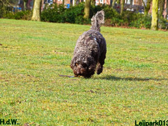 Leijpark013 Beestenboel  22 maart 2023 