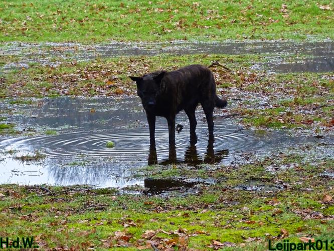Leijpark013 Beestenboel  22 maart 2023 