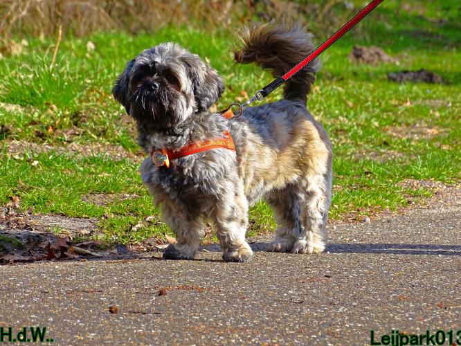 Leijpark013 Beestenboel  22 maart 2023 