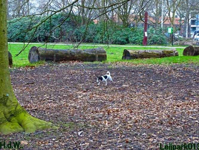 Leijpark013 Beestenboel  22 maart 2023 