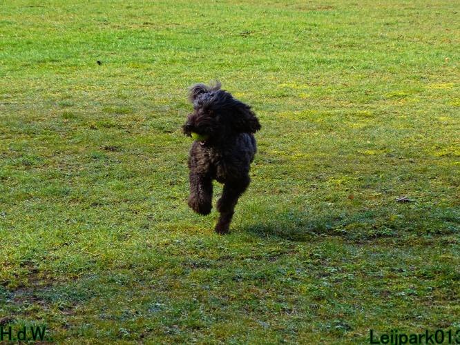 Leijpark013 Beestenboel  22 maart 2023 