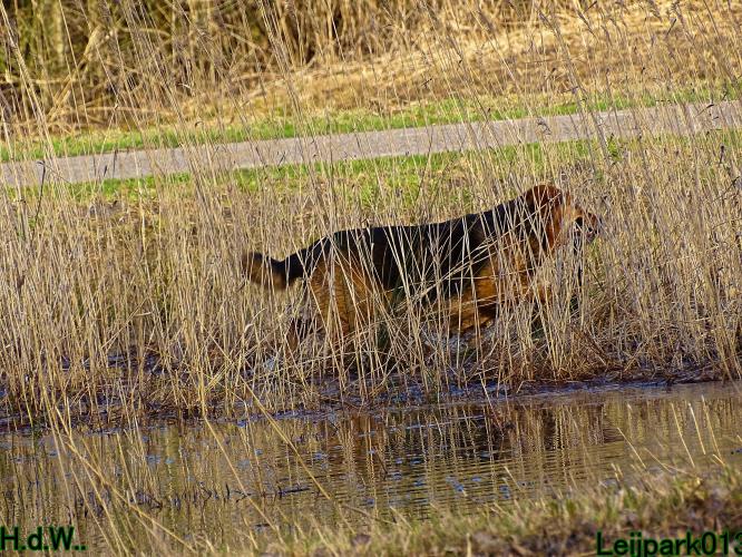 Leijpark013 Beestenboel  22 maart 2023 