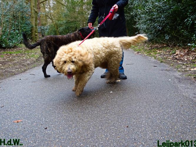 Leijpark013 Beestenboel  22 maart 2023 