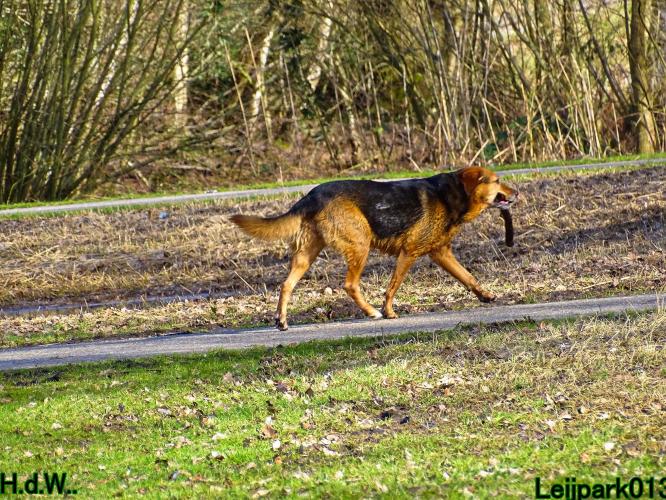 Leijpark013 Beestenboel  22 maart 2023 