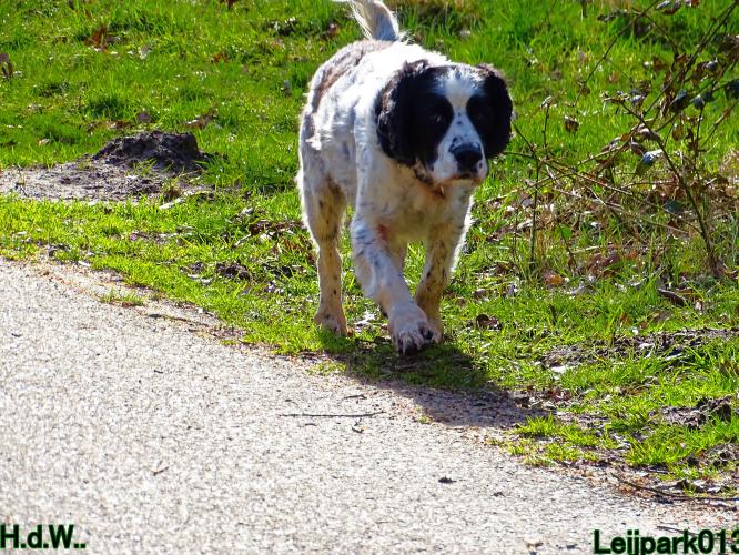 Leijpark013 Beestenboel  22 maart 2023 