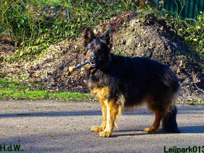 Leijpark013 Beestenboel  22 maart 2023 