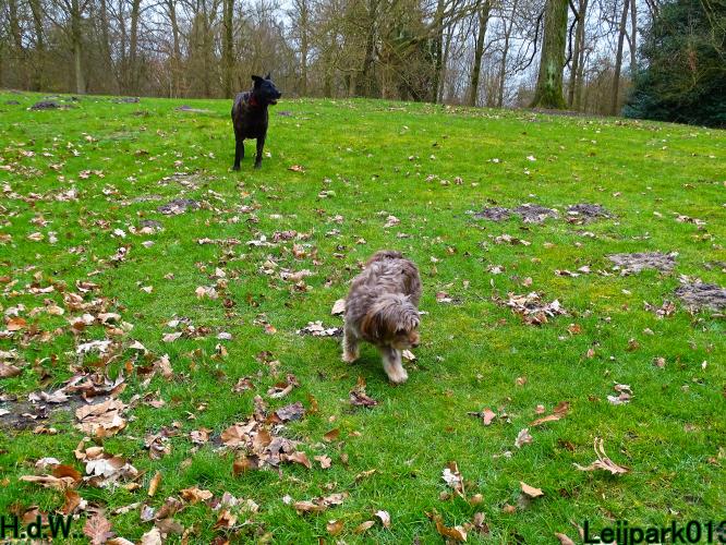 Leijpark013 Beestenboel  22 maart 2023 