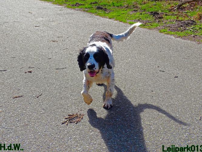 Leijpark013 Beestenboel  22 maart 2023 