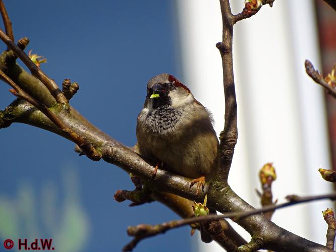 Op onze plaats 23-3-2023 