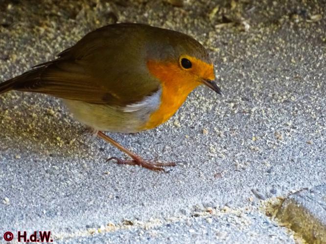 Op onze plaats 23-3-2023 