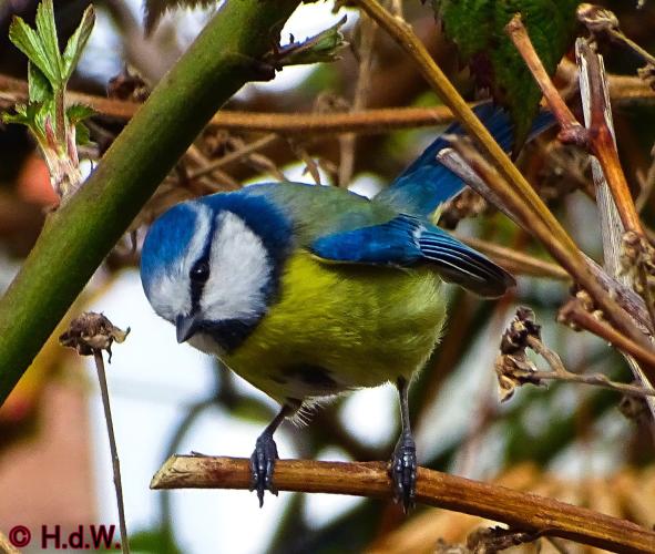 Op onze plaats 23-3-2023 