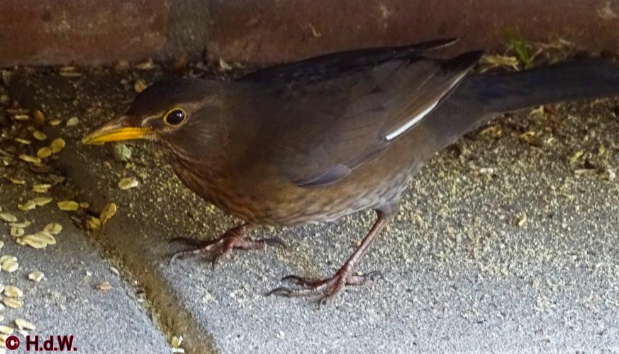 Op onze plaats 23-3-2023 