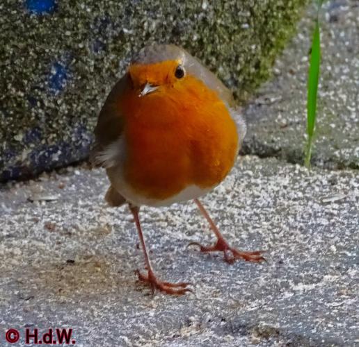 Op onze plaats 23-3-2023 