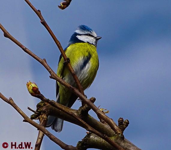 Op onze plaats 23-3-2023 