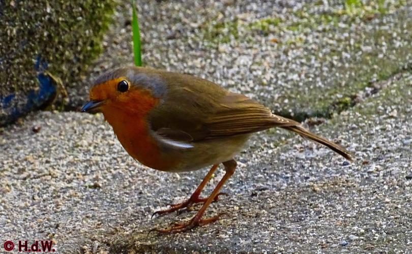 Op onze plaats 23-3-2023 