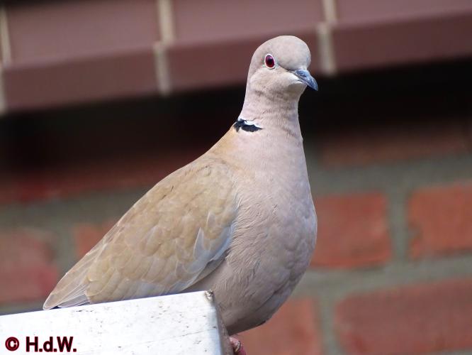 Op onze plaats 23-3-2023 