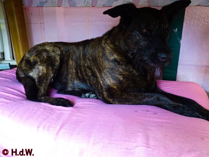 Op onze plaats 23-3-2023 